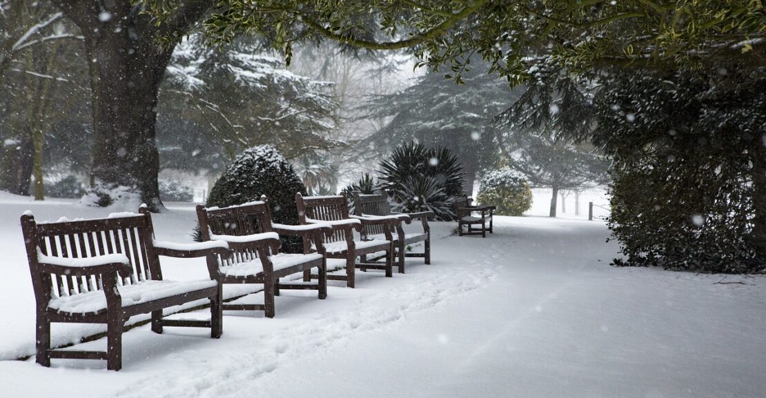 snowy conditions in a public park
