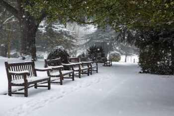 snowy conditions in a public park