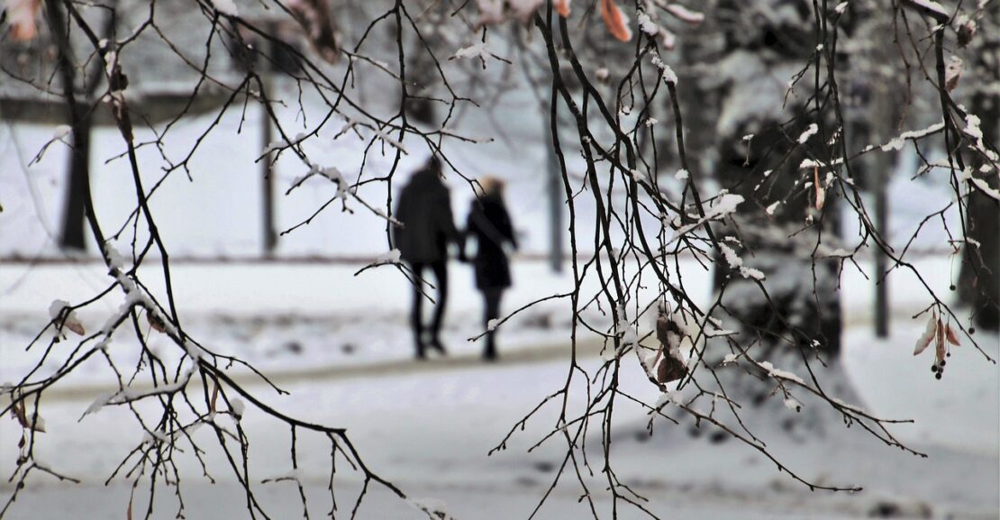 couple walking in a snowy park